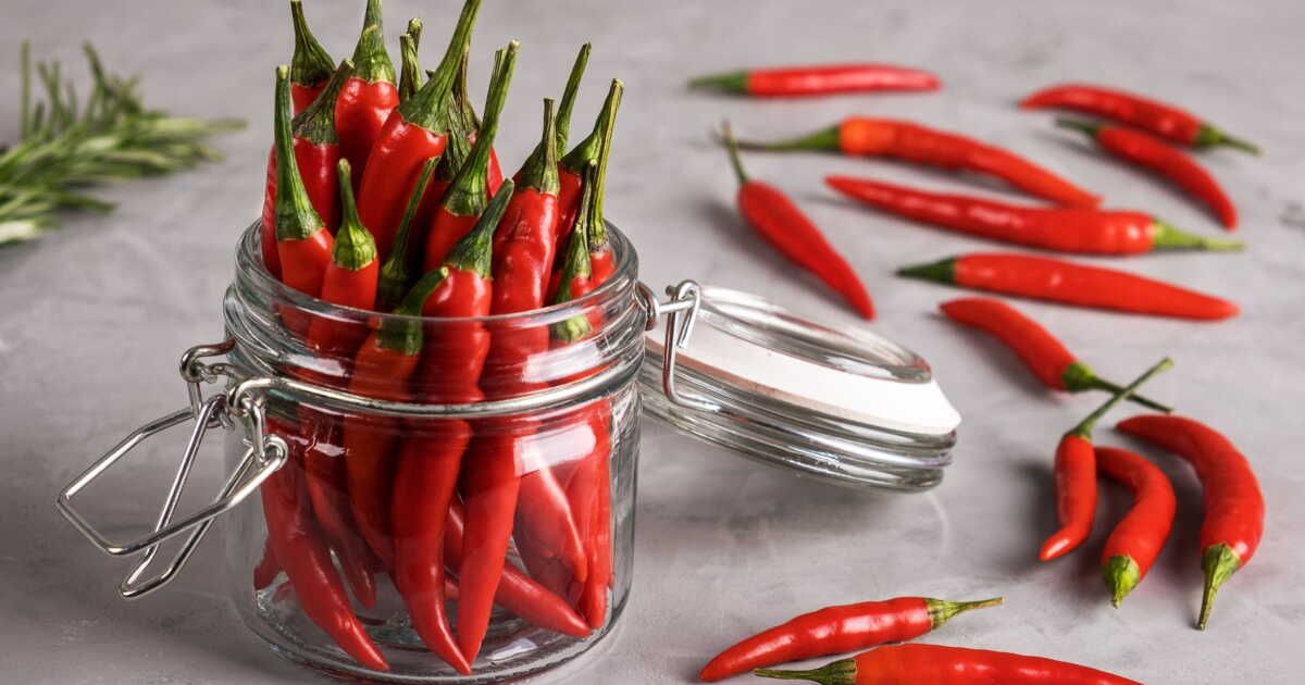 Comment apaiser la brûlure du piment : astuces dévoilées