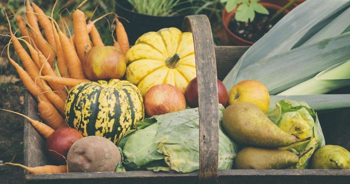 Les délices de l'automne : des saveurs à ne pas manquer