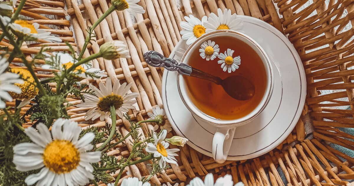 Les secrets des boissons chaudes : thé vs tisane