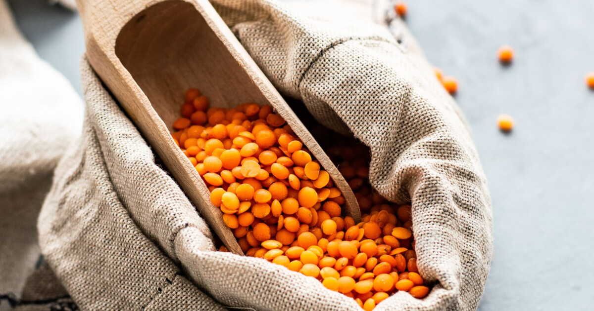 Lentilles corail : l'ingrédient vedette de vos plats créatifs