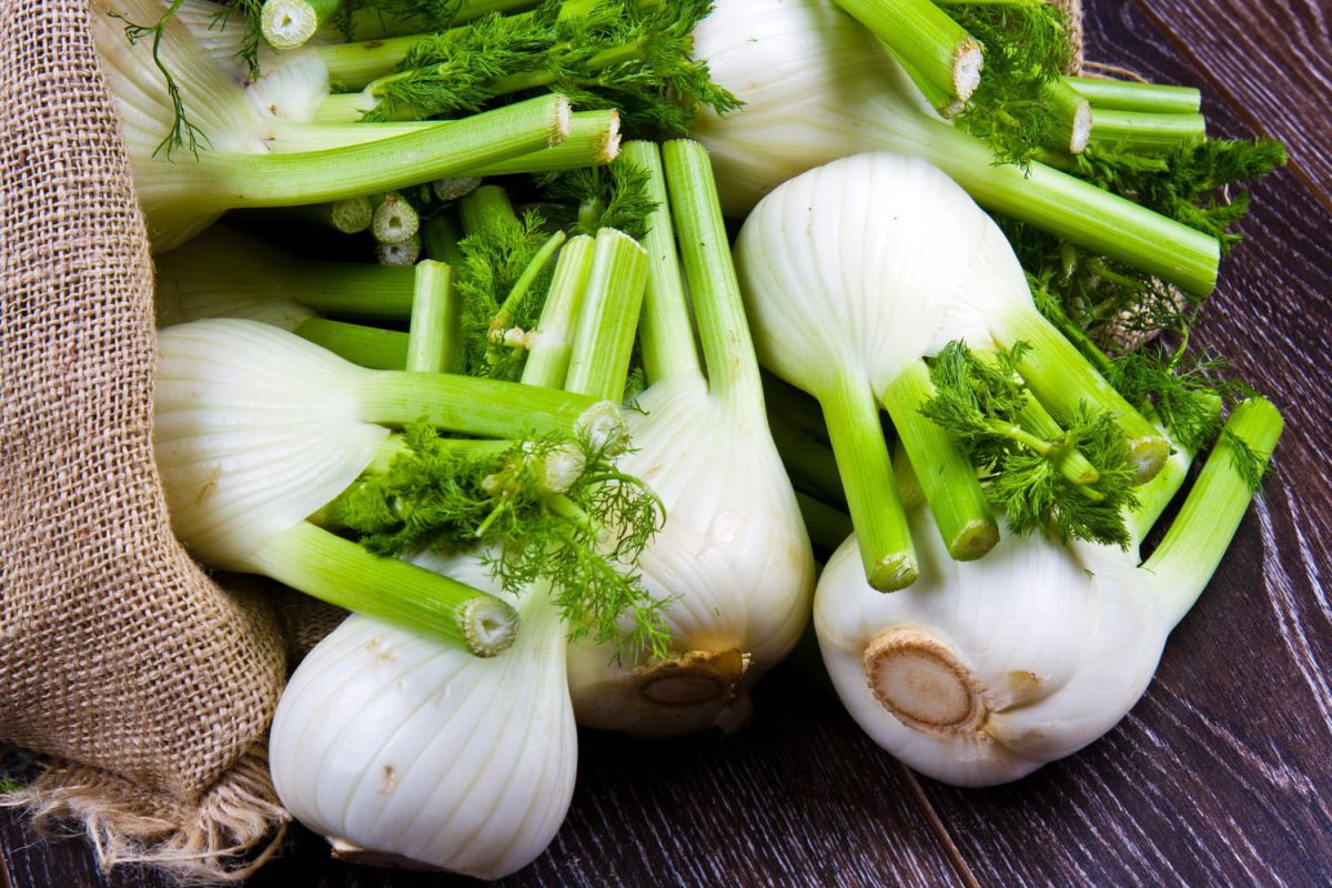Comment cuire le fenouil ?