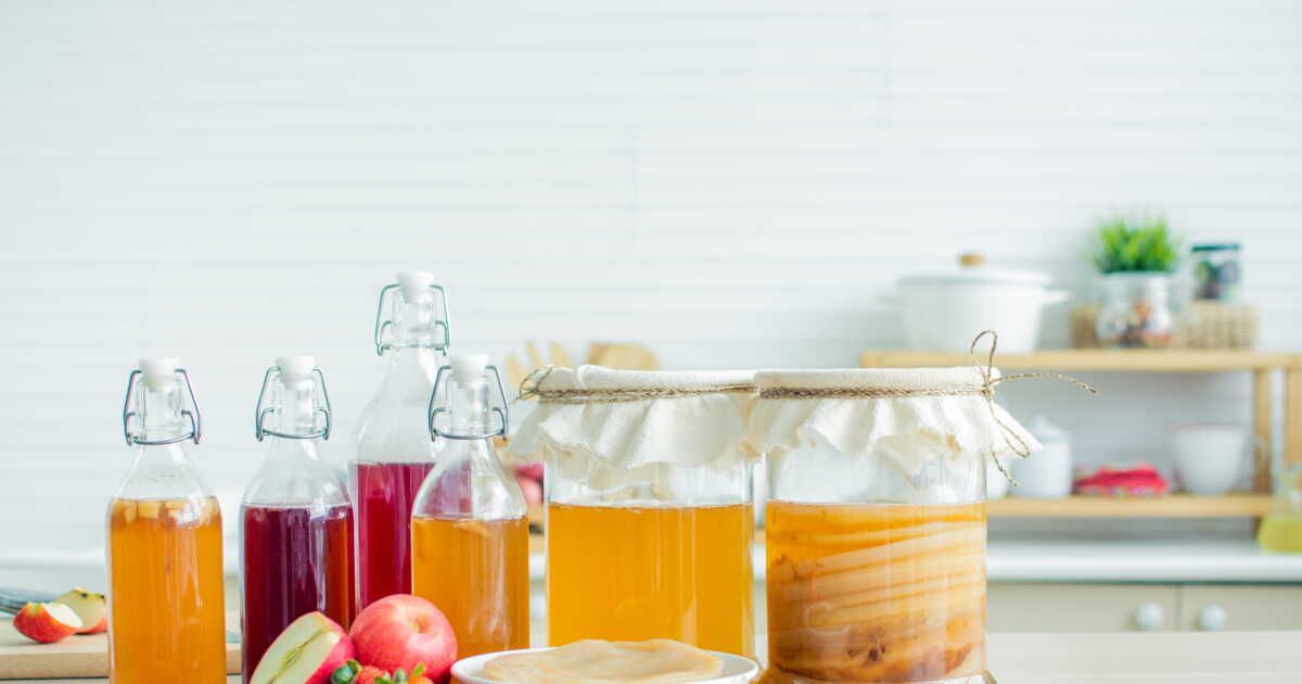Kombucha fait maison : votre élixir de santé à portée de main