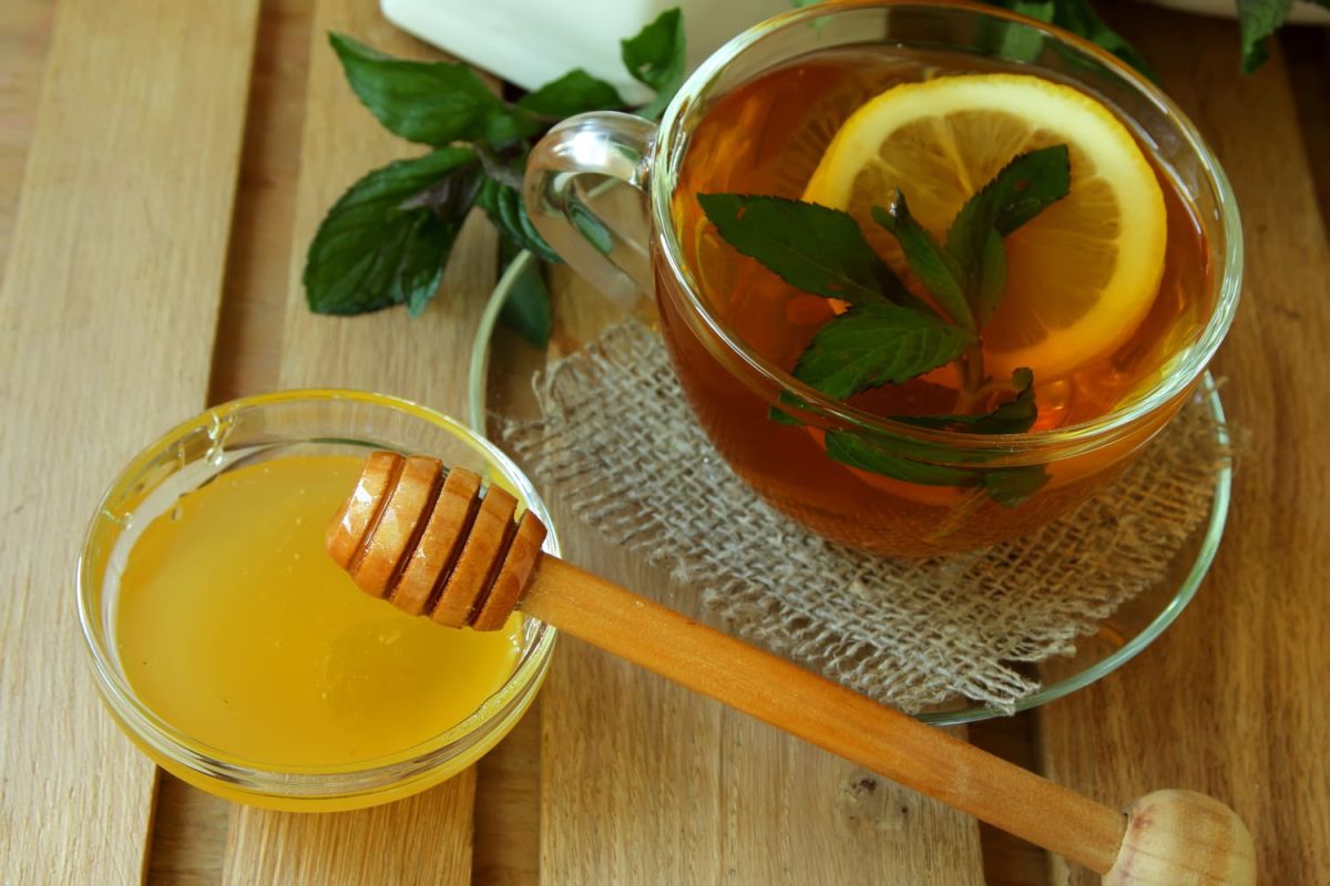 Le grog au miel : l'astuce d'un apiculteur pour en maximiser les bienfaits
