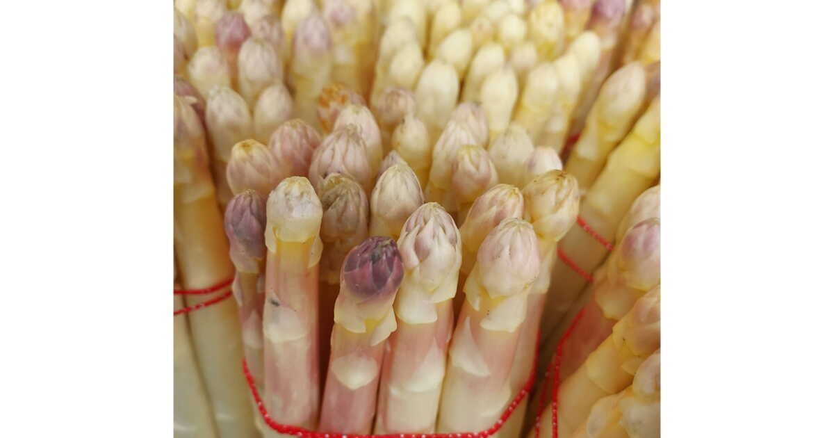 L'asperge du Blayais, trésor de la Gironde