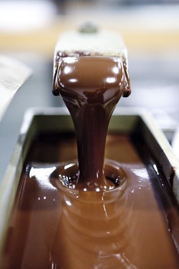 Un voyage chocolaté à la Manufacture Alain Ducasse