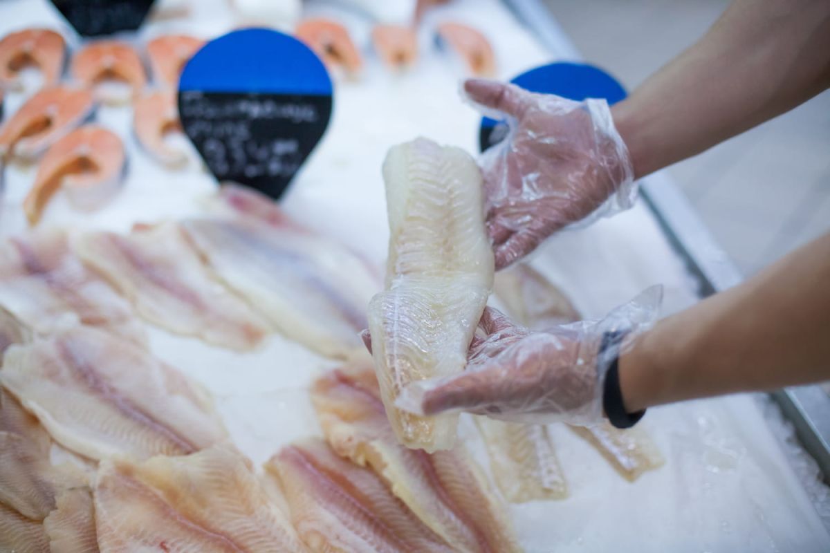Cette alerte sur la qualité du poisson donne à réfléchir