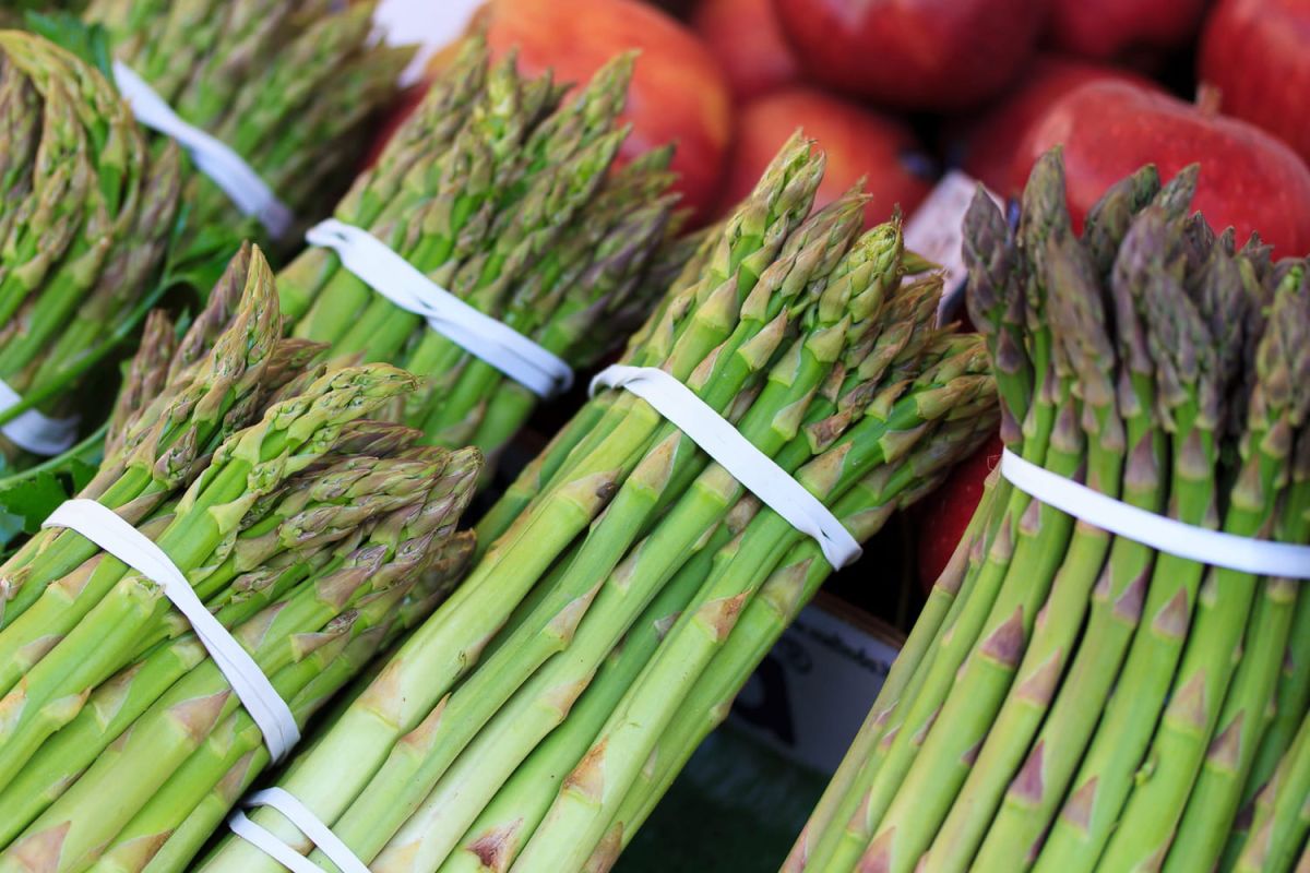 acheter des asperges sans se ruiner : le bon plan d'un producteur