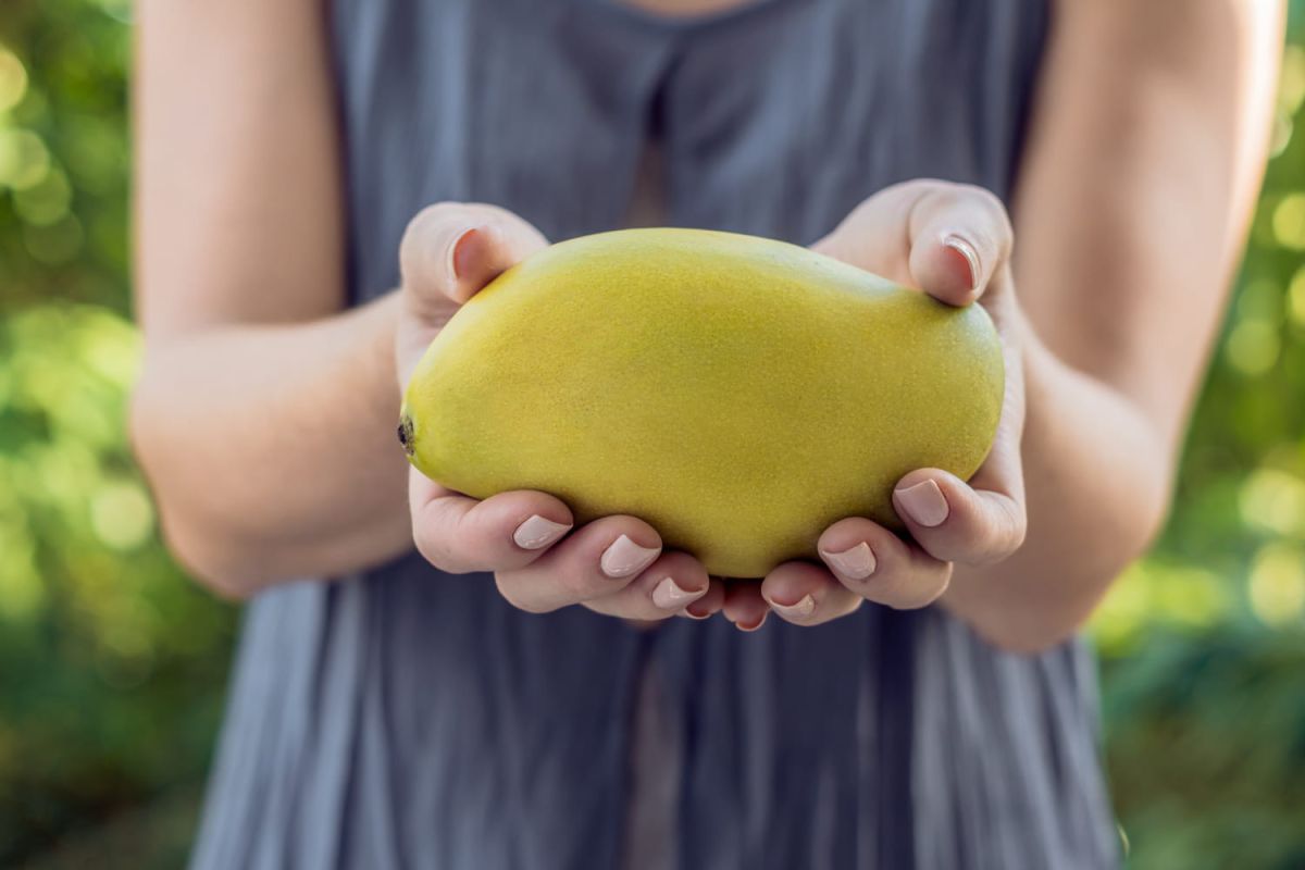 la mangue des américains : un fruit méconnu à découvrir