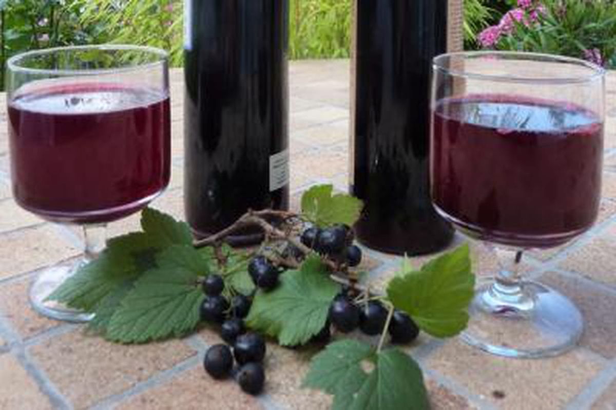 Dégustez un sirop de cassis fait maison