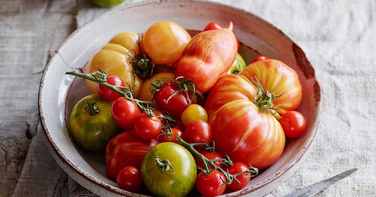 Les tomates, ces légumes-fruits emblématiques de la saison estivale