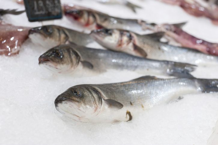 Mercure : la menace invisible pour les poissons de l'Atlantique Nord