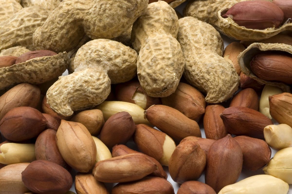 Les bienfaits insoupçonnés des cacahuètes pour la santé