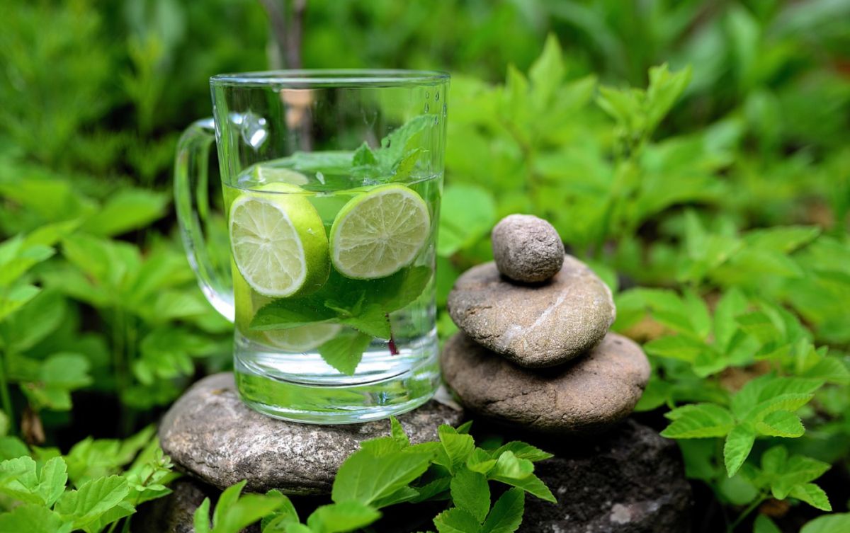 Renaître grâce aux plantes : découvrez les secrets de la détox