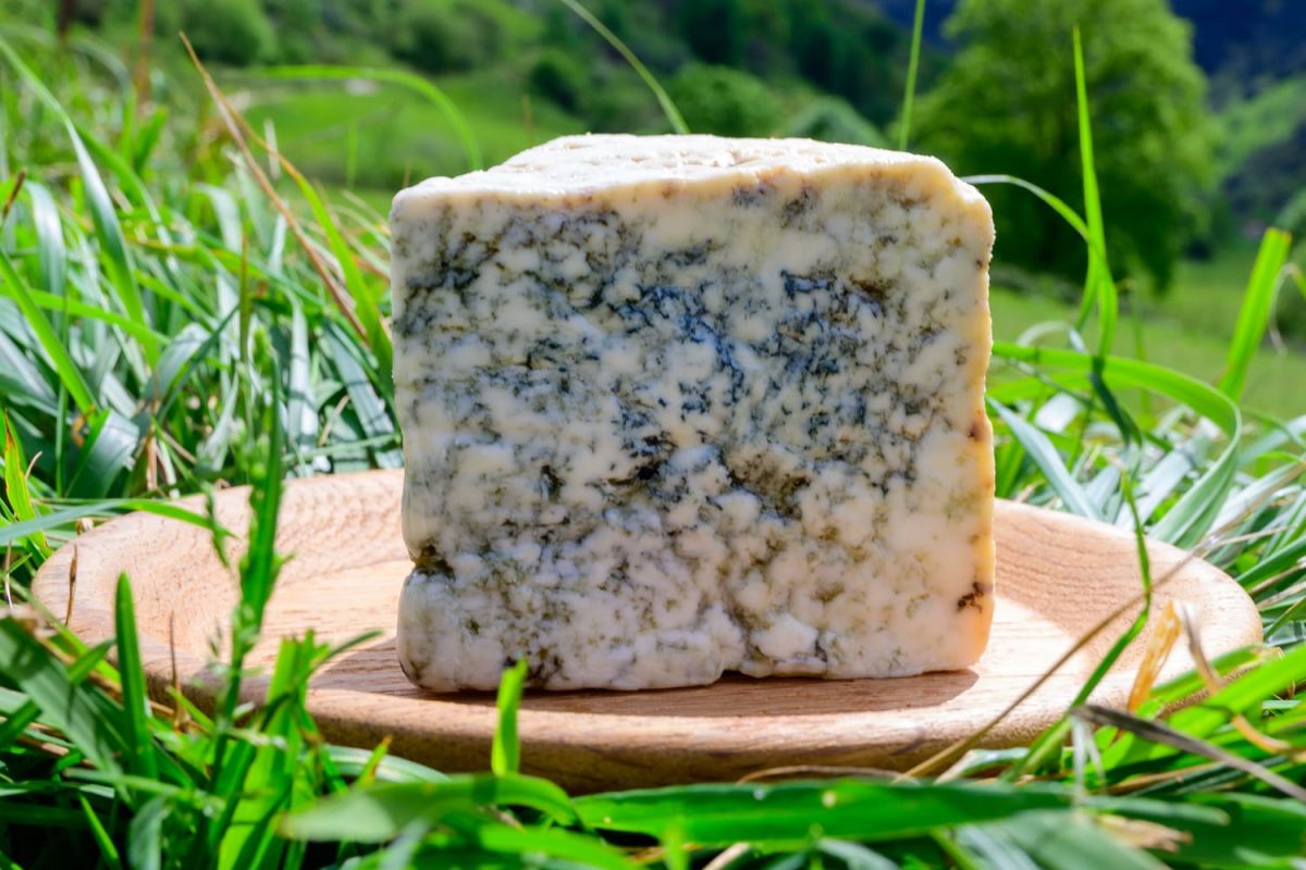 Plongée dans l'univers du fromage le plus cher au monde
