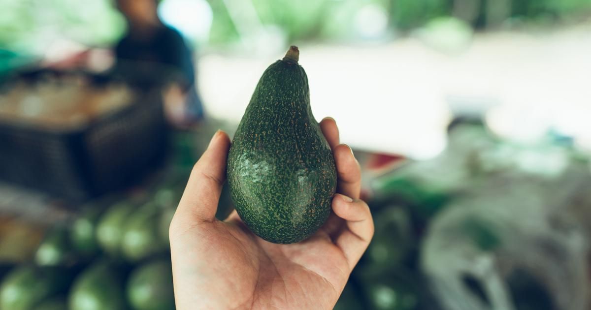 Avocat : choix éthique et conseils pour une consommation responsable