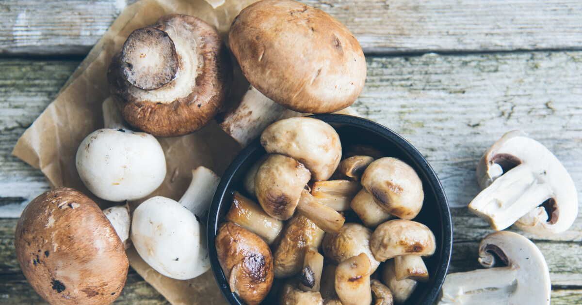 Les secrets pour congeler vos champignons fraîchement récoltés
