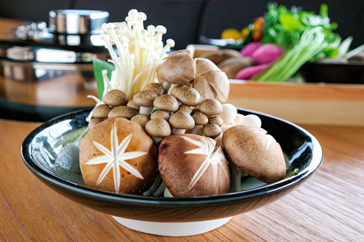 Ce champignon pourrait sauver votre foie, selon des chercheurs