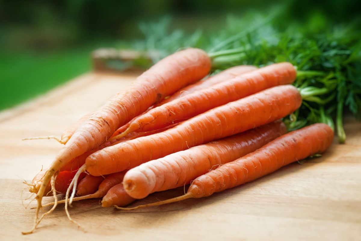 Les carottes et la couleur de la peau : mythe ou réalité ?